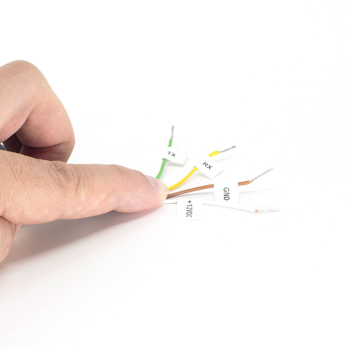 M12 Data Cable - Female